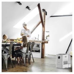 Мойка воздуха Boneco W300 белый