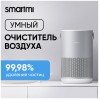 Очиститель воздуха Smartmi Air Purifier P1 Серебристый