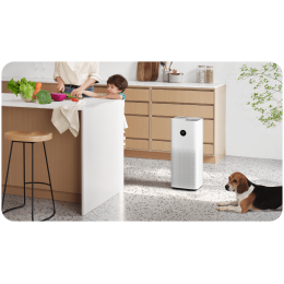 Очиститель воздуха Xiaomi Smart Air Purifier 4 Pro AC-M15-SC (BHR5056EU)