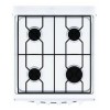 Газовая плита ЛАДА NOVA RG24042W (431) белая (R)
