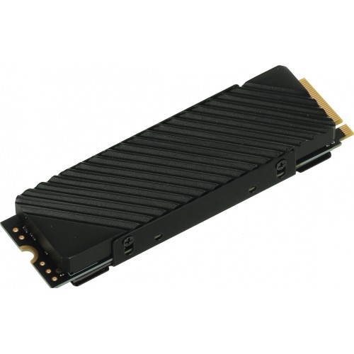 Накопитель SSD Digma PCI-E 4.0 x4 1Tb DGST4001TG33T Top G3 M.2 2280