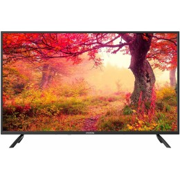 Телевизор DIGMA 43" DM-LED43MBB21 Frameless черный FULL HD 60Hz DVB-T DVB-T2 DVB-C DVB-S DVB-S2 