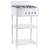 Газовая плита FLAMA AVG 1402 W белый