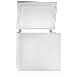 Морозильная камера POZIS FH-256-1 С