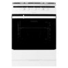 Газовая плита HANSA FCGW61000 / 60x60x85,газовая. эмаль,белая