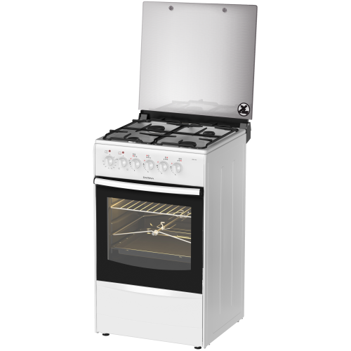 Комбинированная плита DARINA 1В КМ 441 306 W