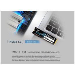 Накопитель SSD M.2 Silicon Power 1.0Tb A60 <SP001TBP34A60M28> (PCI-E 3.0 х4, up to 2200/1600MBs, 250000 IOPs, 3D TLC, NVMe 1.3, 600TBW, 22х80мм)
